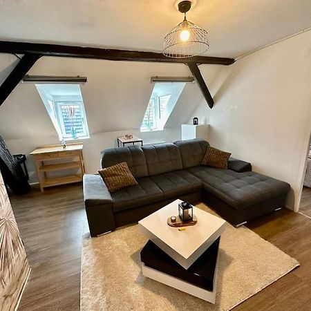 Logement Entier Au Coeur De ستراسبورغ المظهر الخارجي الصورة