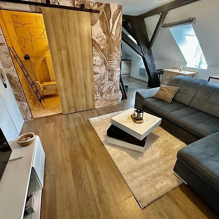 Logement Entier Au Coeur De ستراسبورغ المظهر الخارجي الصورة