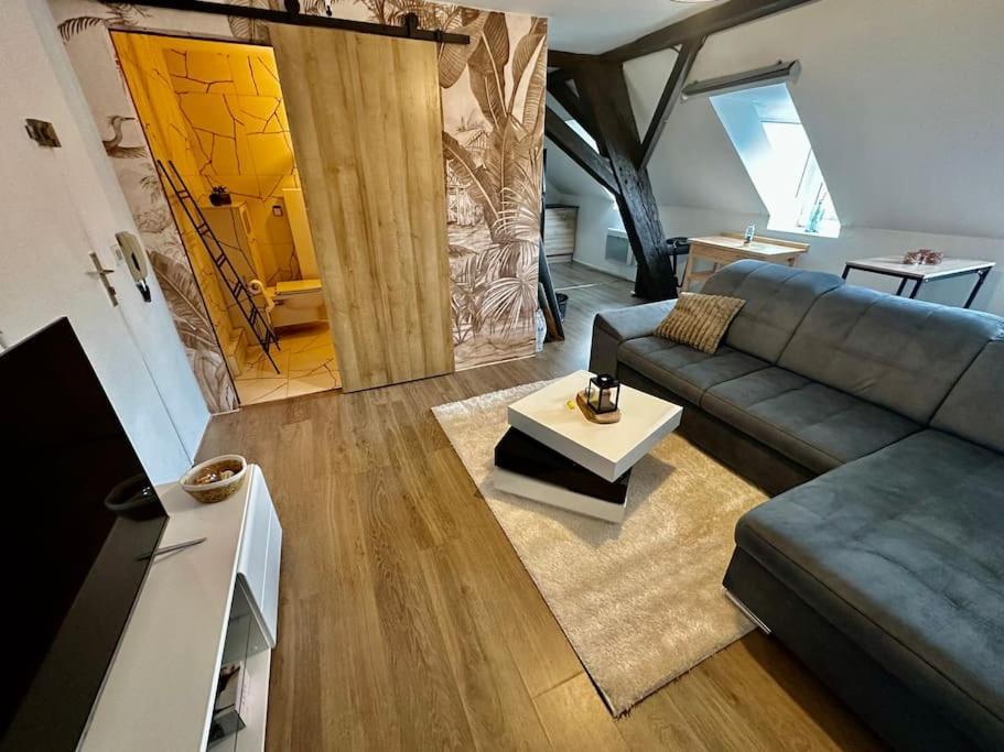 Logement Entier Au Coeur De ستراسبورغ المظهر الخارجي الصورة